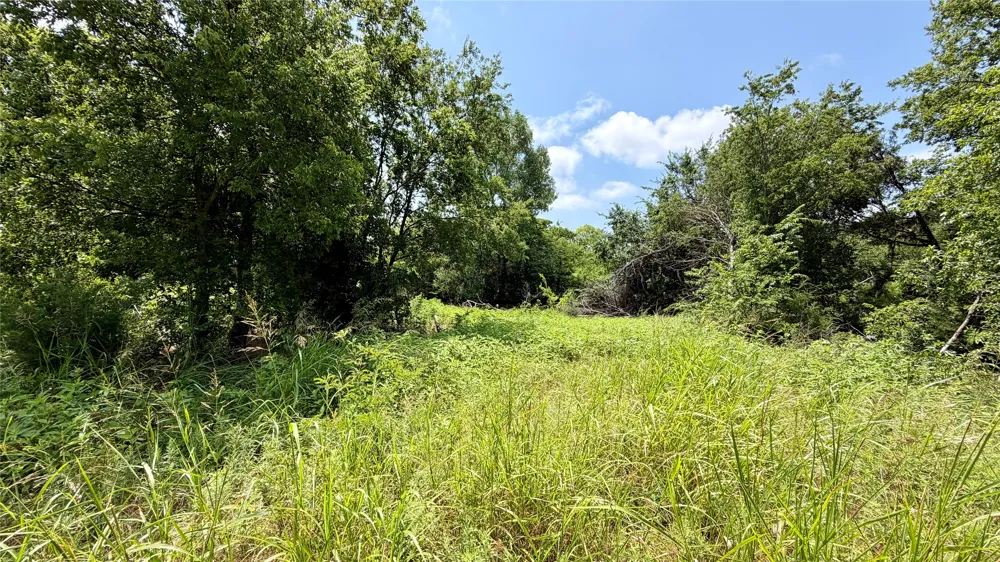 207 Hill Street Nocona, TX 76255