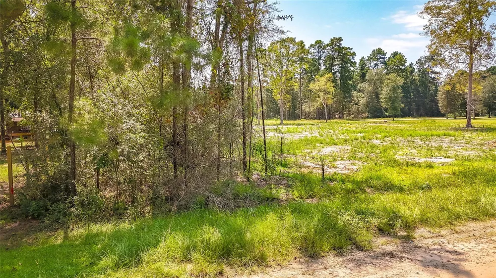 67 Thousand Oaks Livingston, TX 77351