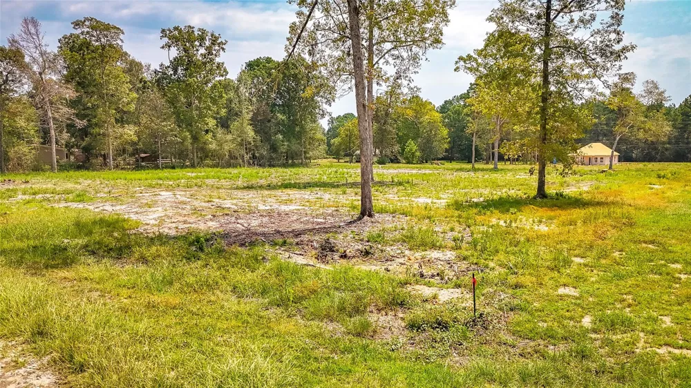 67 Thousand Oaks Livingston, TX 77351