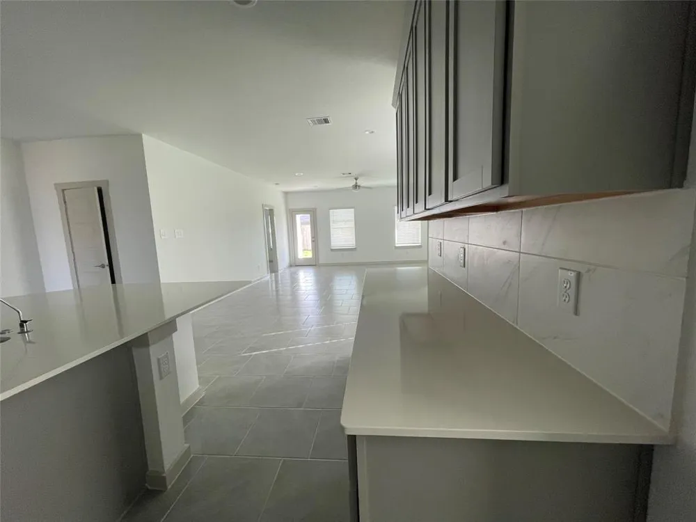 28939 Lupo River Court Fulshear, TX 77494