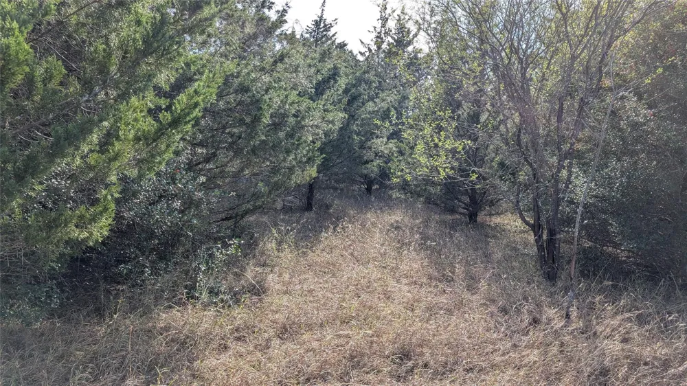 1001 County Road 126 Hallettsville, TX 77964