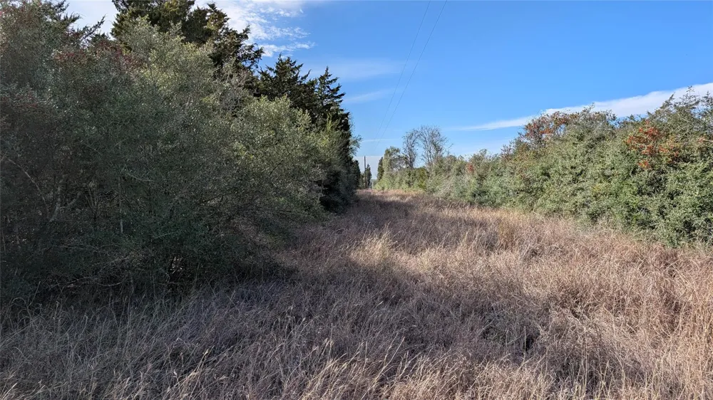 1001 County Road 126 Hallettsville, TX 77964