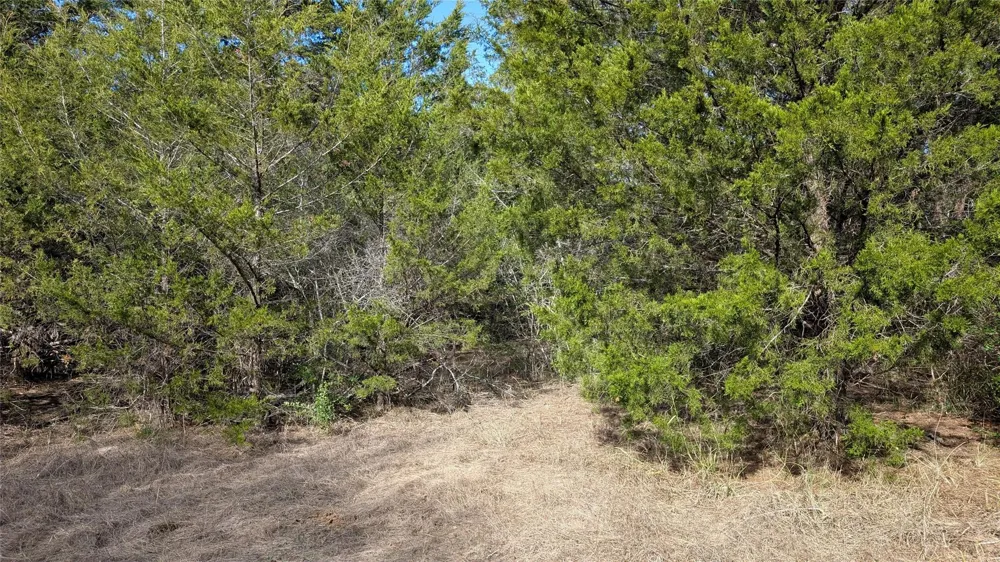 1001 County Road 126 Hallettsville, TX 77964