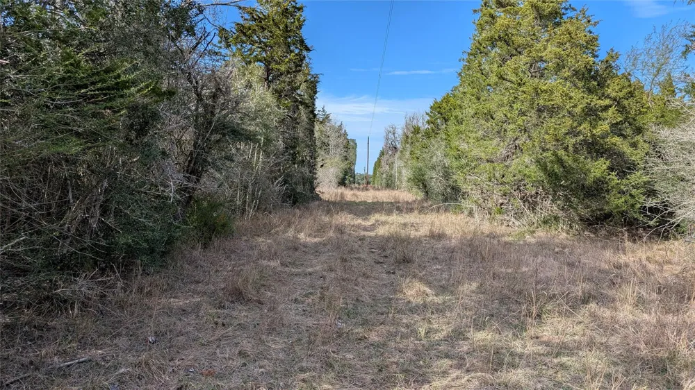1001 County Road 126 Hallettsville, TX 77964