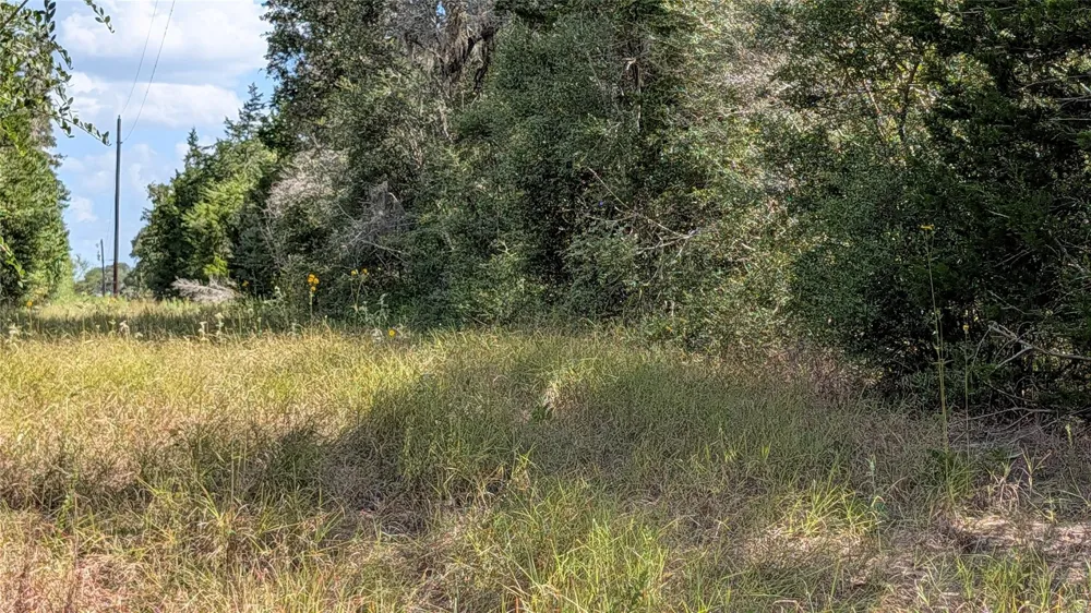 1001 County Road 126 Hallettsville, TX 77964