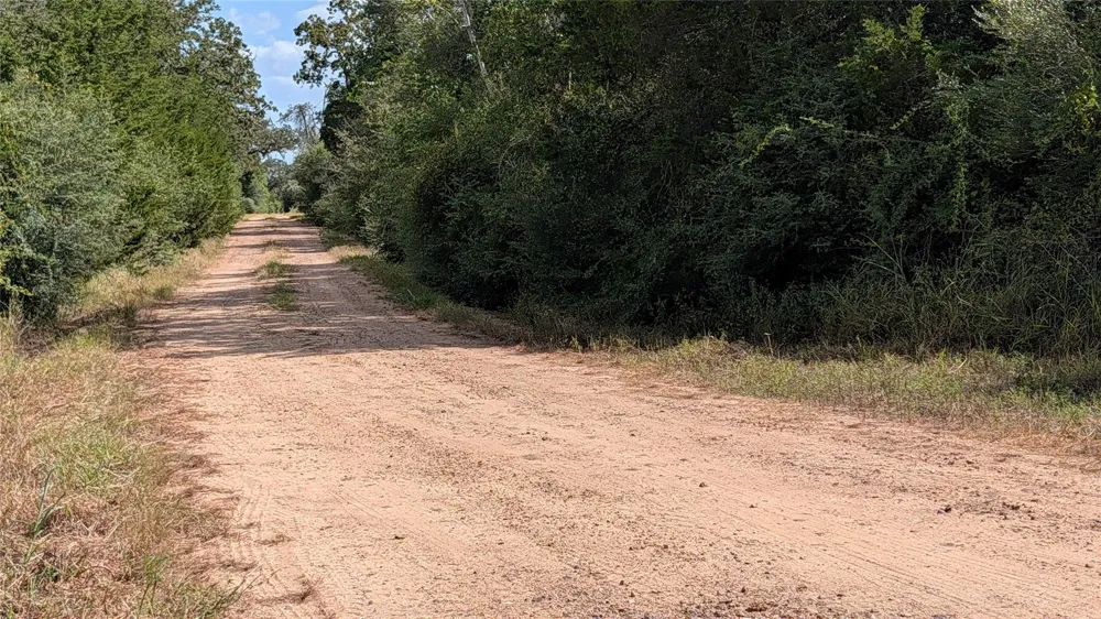 1001 County Road 126 Hallettsville, TX 77964