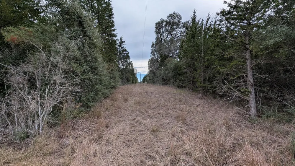1001 County Road 126 Hallettsville, TX 77964