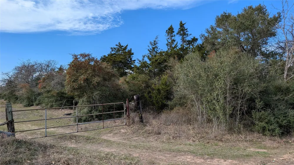 1001 County Road 126 Hallettsville, TX 77964