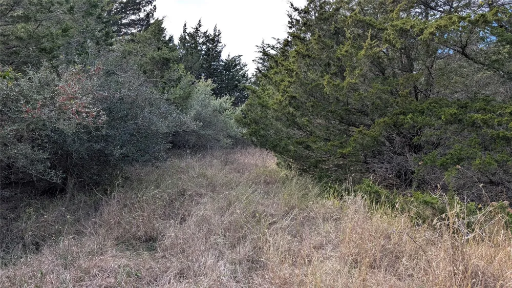 1001 County Road 126 Hallettsville, TX 77964