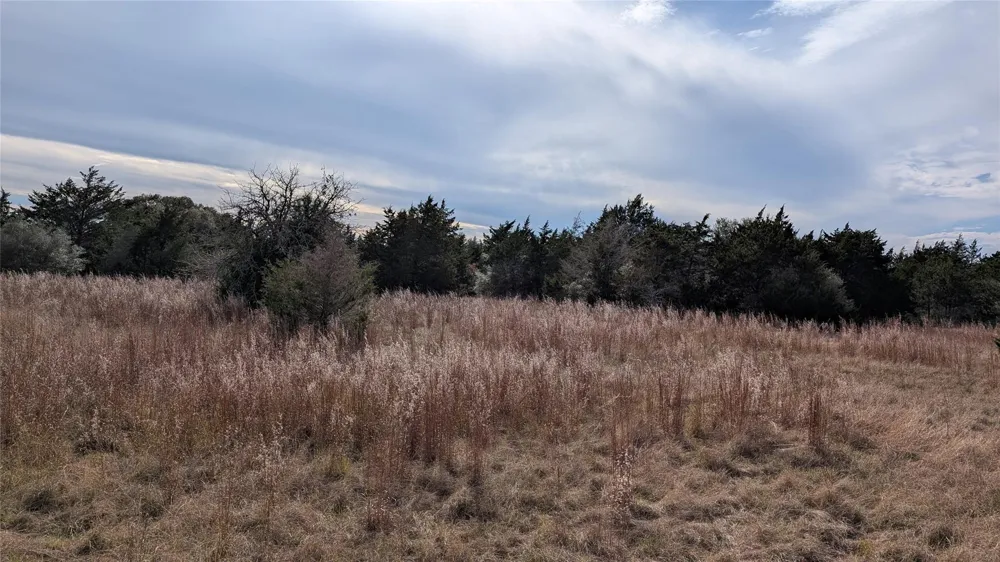 1001 County Road 126 Hallettsville, TX 77964