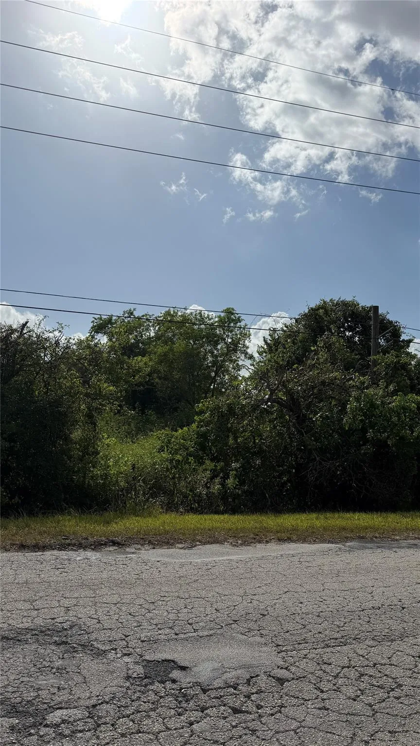 County Road 48 Iowa Colony, TX 77583