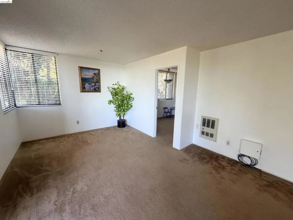 555 Pierce St #1021 Albany, CA 94706
