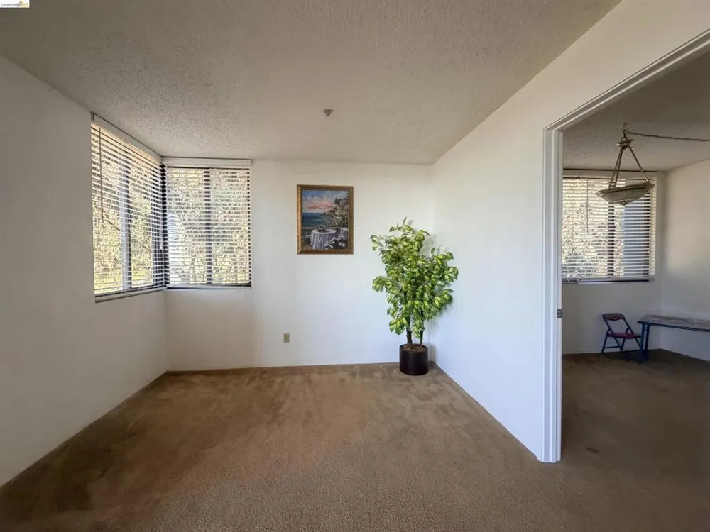 555 Pierce St #1021 Albany, CA 94706