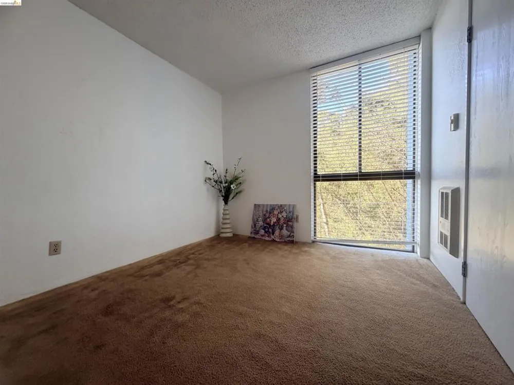 555 Pierce St #1021 Albany, CA 94706
