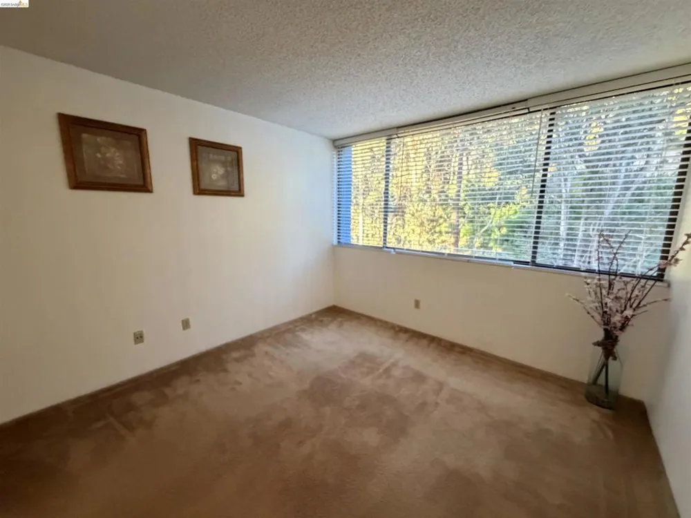 555 Pierce St #1021 Albany, CA 94706