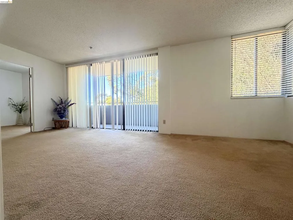 555 Pierce St #1021 Albany, CA 94706