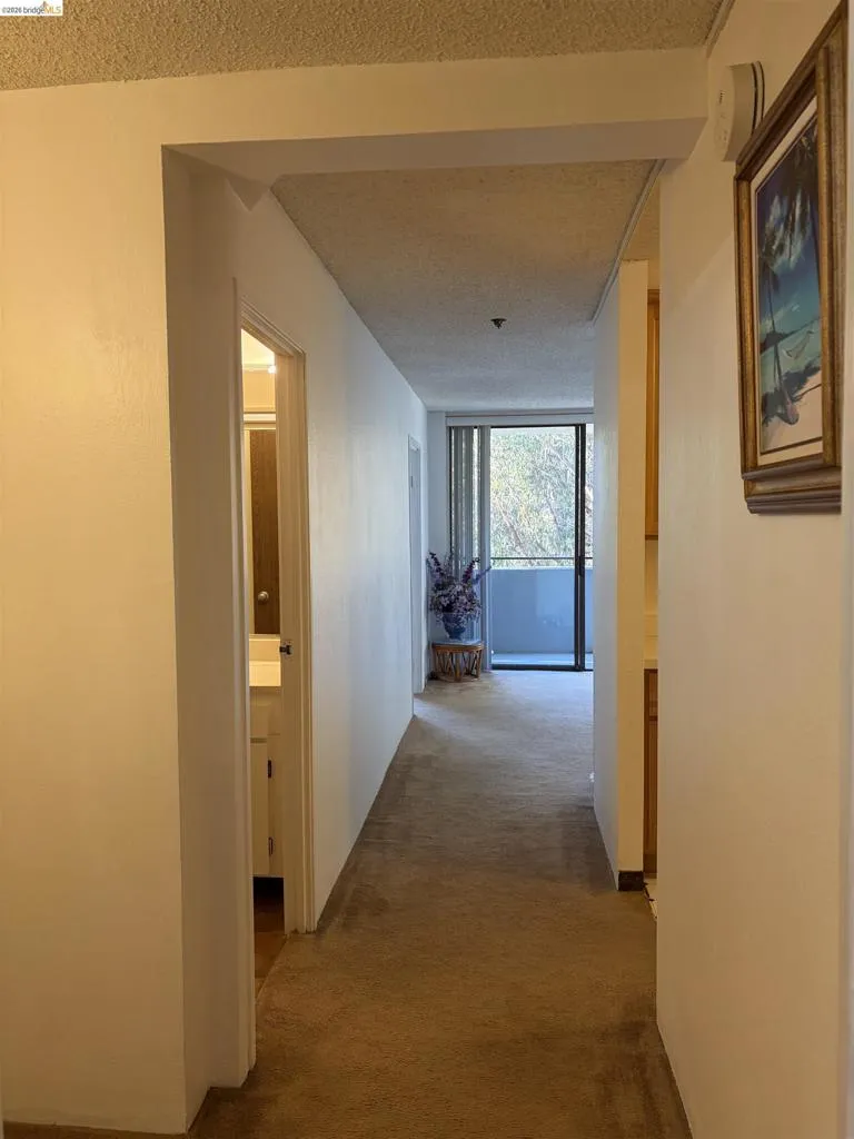 555 Pierce St #1021 Albany, CA 94706