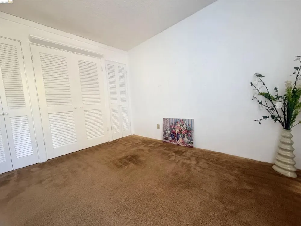555 Pierce St #1021 Albany, CA 94706