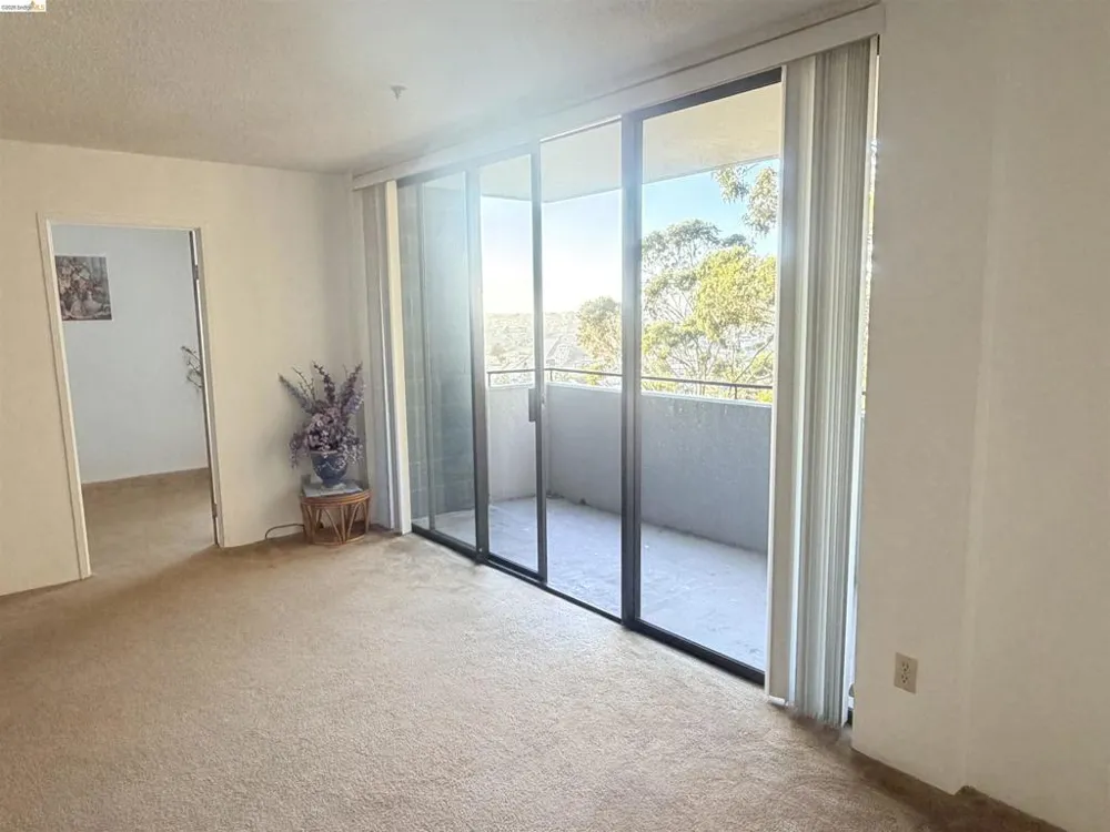 555 Pierce St #1021 Albany, CA 94706