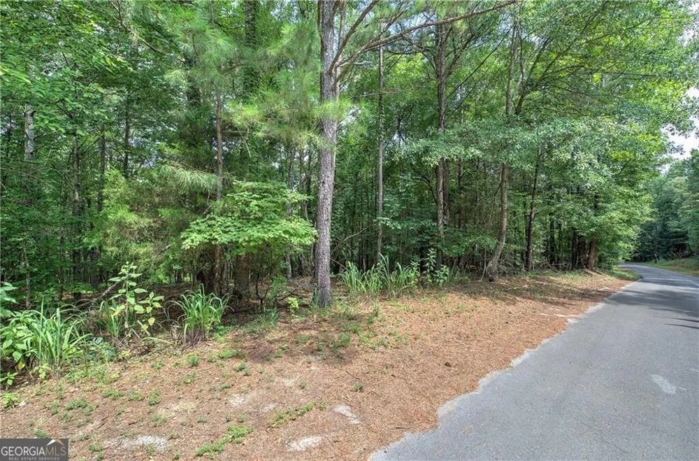 0 Weissenger RD Kingston, GA 30145