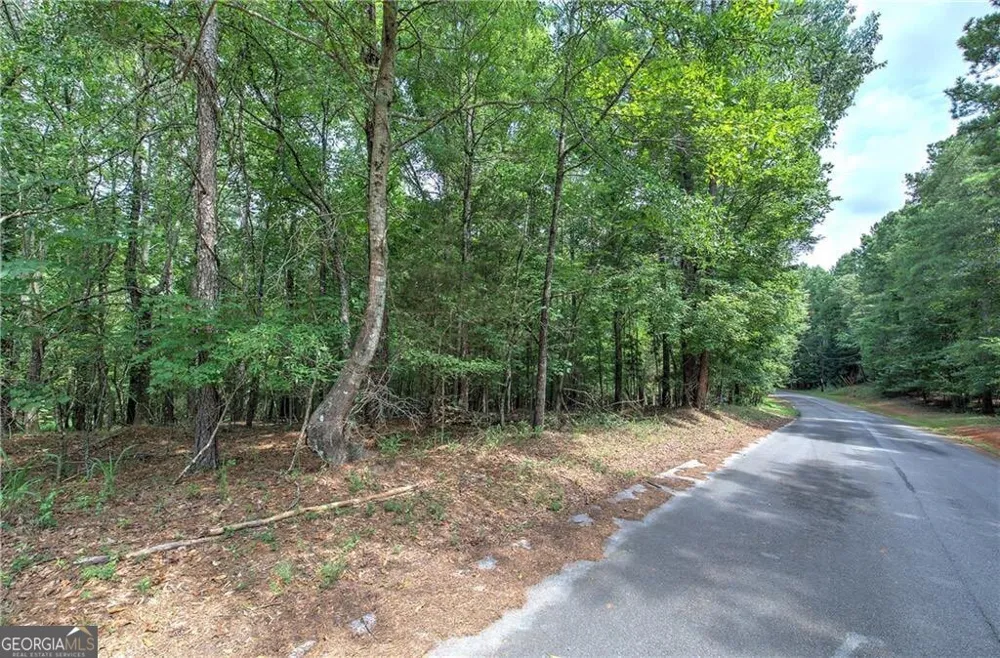 0 Weissenger RD Kingston, GA 30145
