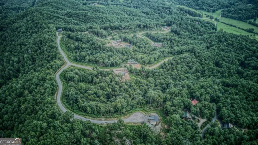 LOT 49 Mountain Laurel RDG Mineral Bluff, GA 30559