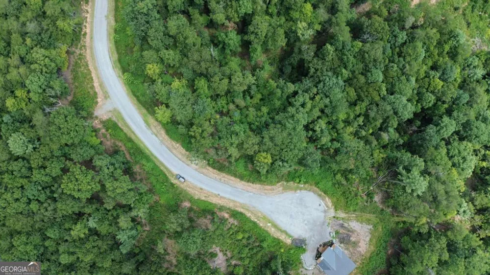 LOT 49 Mountain Laurel RDG Mineral Bluff, GA 30559