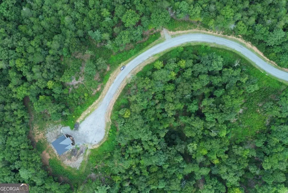 LOT 49 Mountain Laurel RDG Mineral Bluff, GA 30559