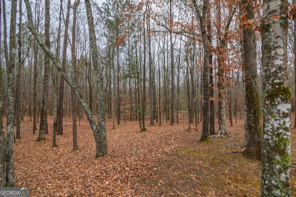 1578 Ga Highway 208 Hamilton, GA 31811