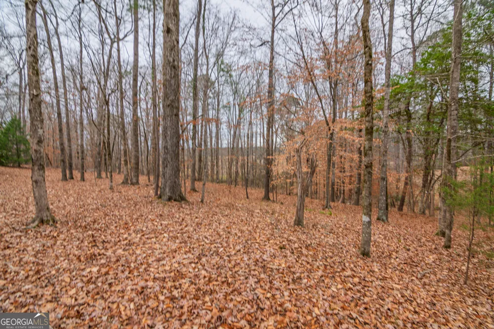 1578 Ga Highway 208 Hamilton, GA 31811