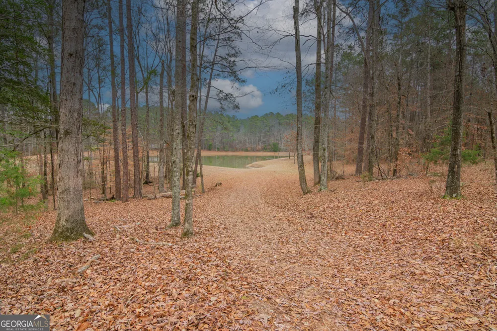 1578 Ga Highway 208 Hamilton, GA 31811