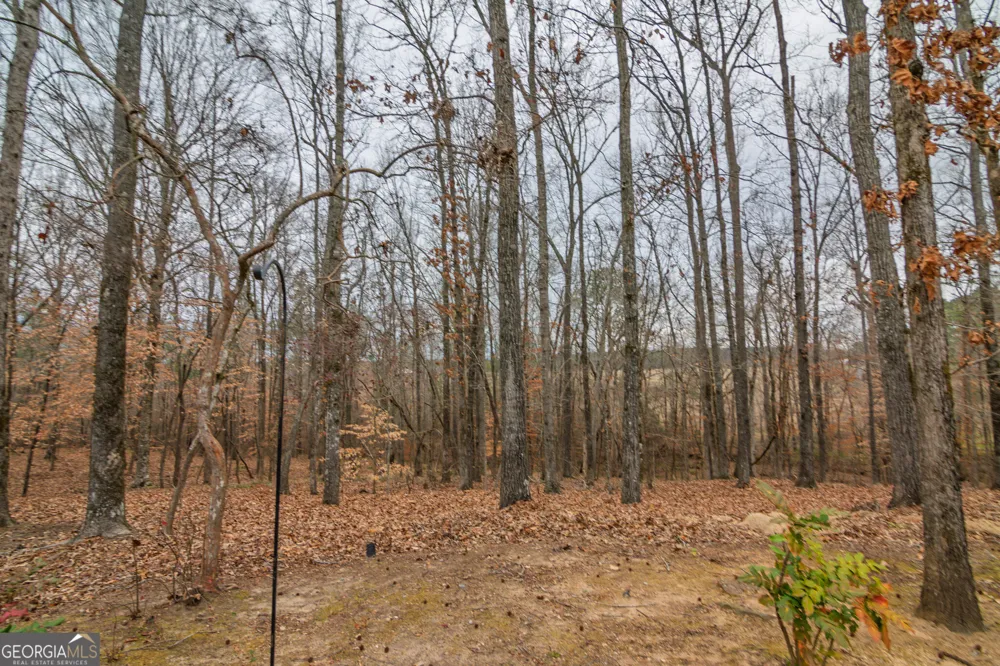 1578 Ga Highway 208 Hamilton, GA 31811