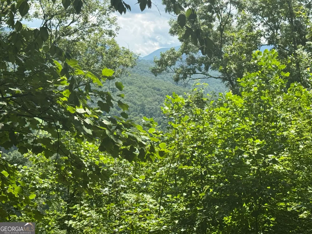 #2 & #7 Ivy Lane Hiawassee, GA 30546