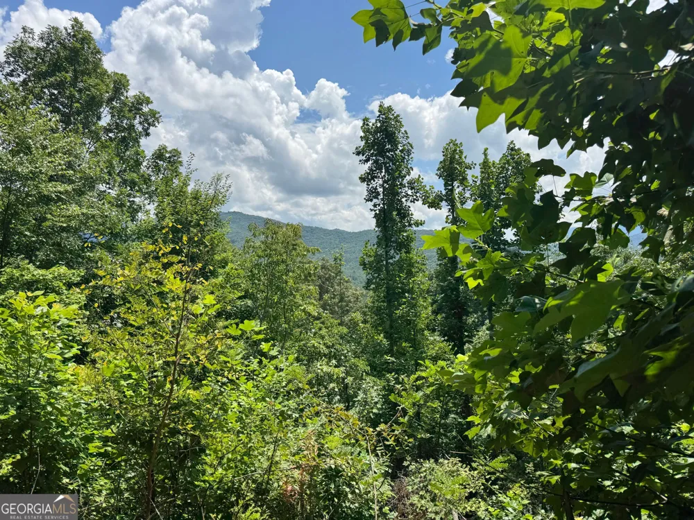 #2 & #7 Ivy Lane Hiawassee, GA 30546