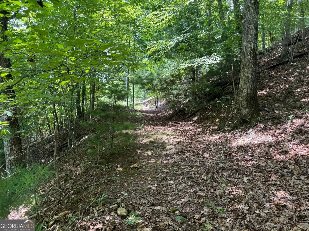 #2 & #7 Ivy Lane Hiawassee, GA 30546