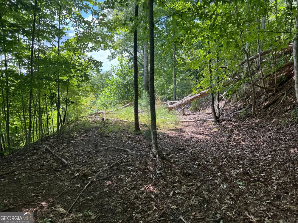 #2 & #7 Ivy Lane Hiawassee, GA 30546