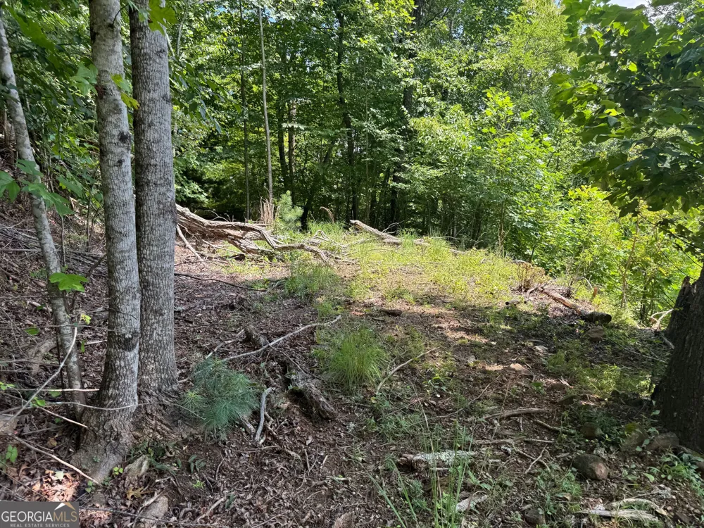 #2 & #7 Ivy Lane Hiawassee, GA 30546