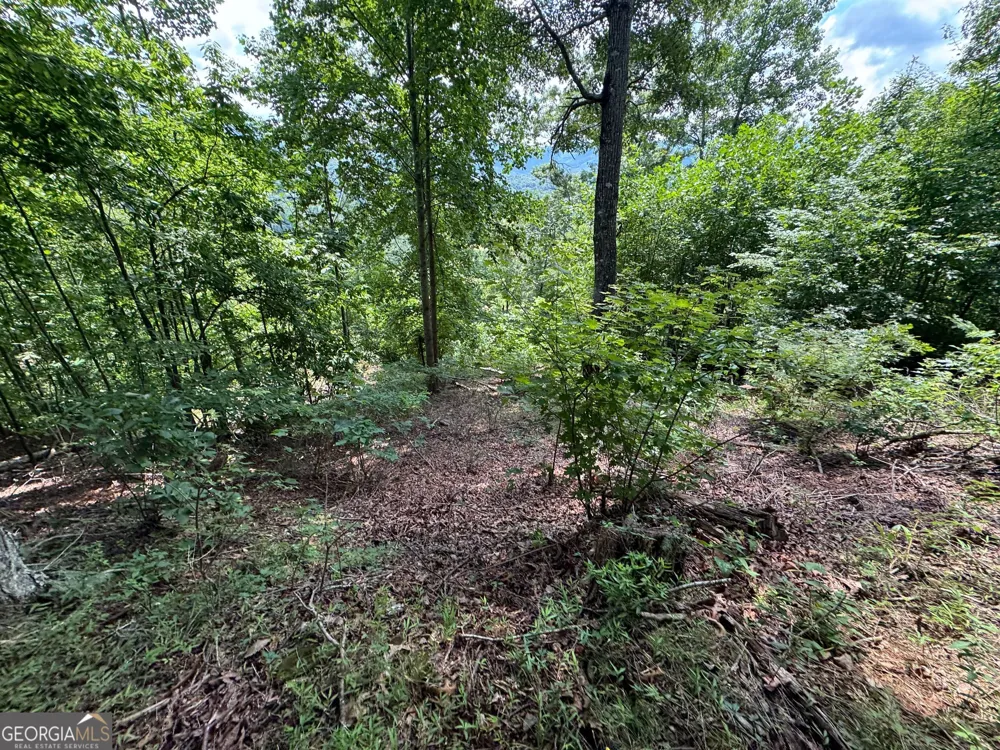 #2 & #7 Ivy Lane Hiawassee, GA 30546