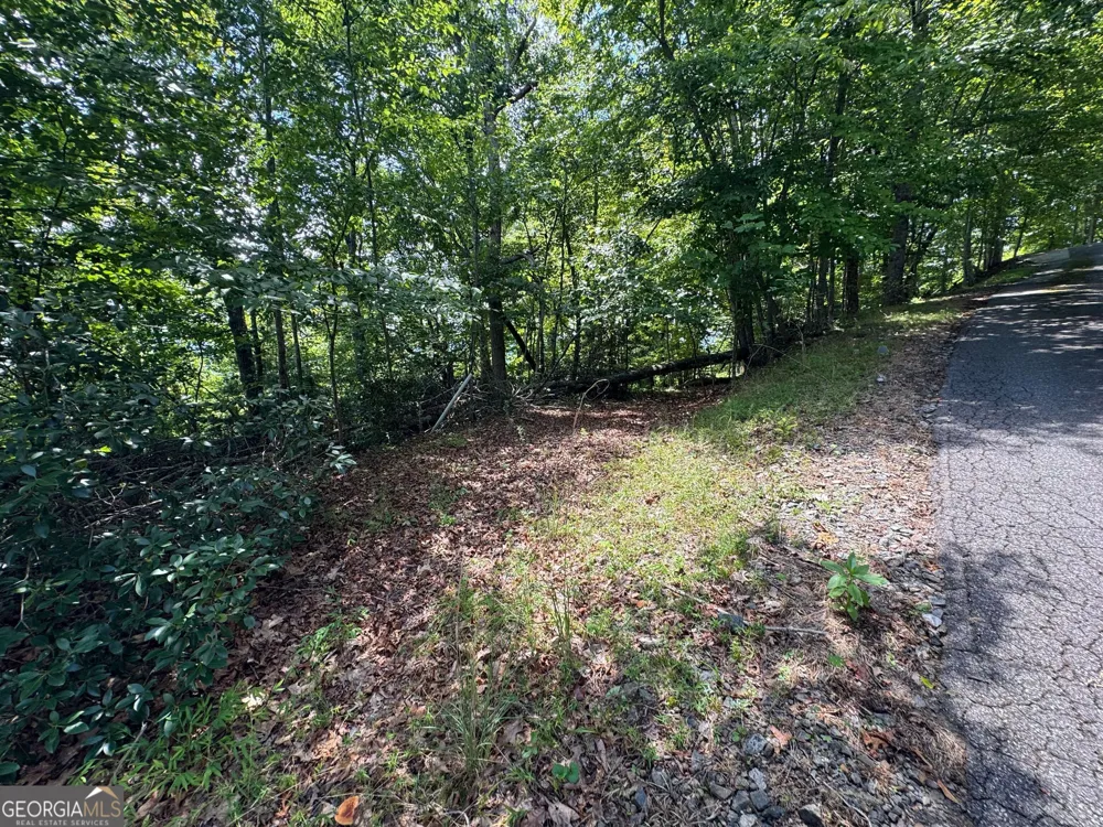 #2 & #7 Ivy Lane Hiawassee, GA 30546
