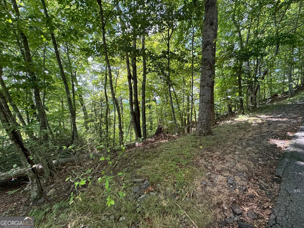#2 & #7 Ivy Lane Hiawassee, GA 30546