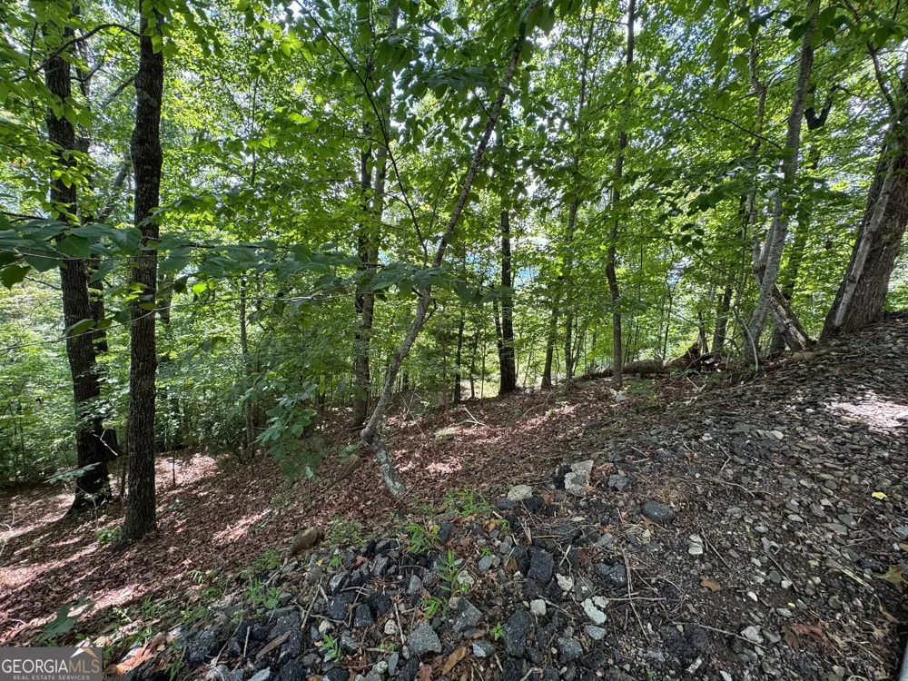 #2 & #7 Ivy Lane Hiawassee, GA 30546