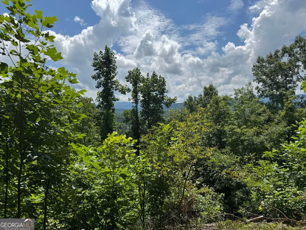 #2 & #7 Ivy Lane Hiawassee, GA 30546