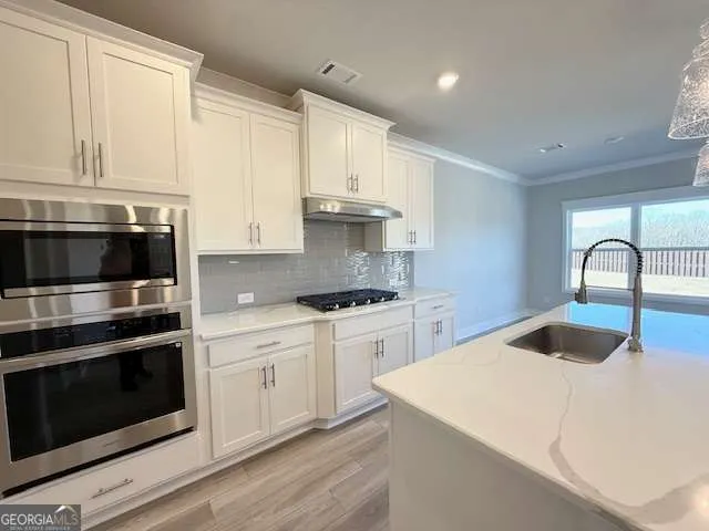 630 Winding Rose DR Hoschton, GA 30548