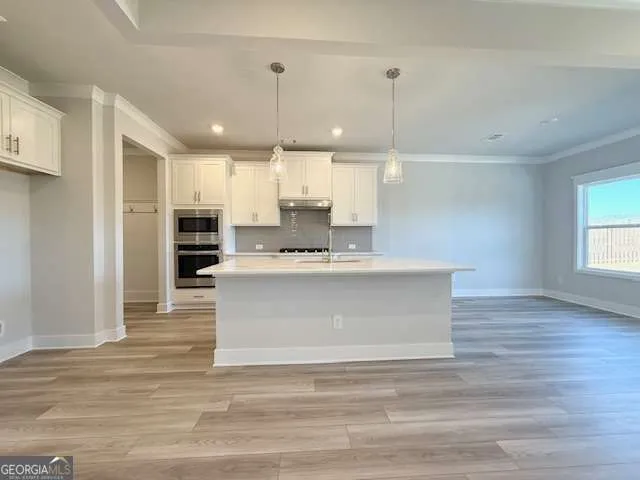 630 Winding Rose DR Hoschton, GA 30548