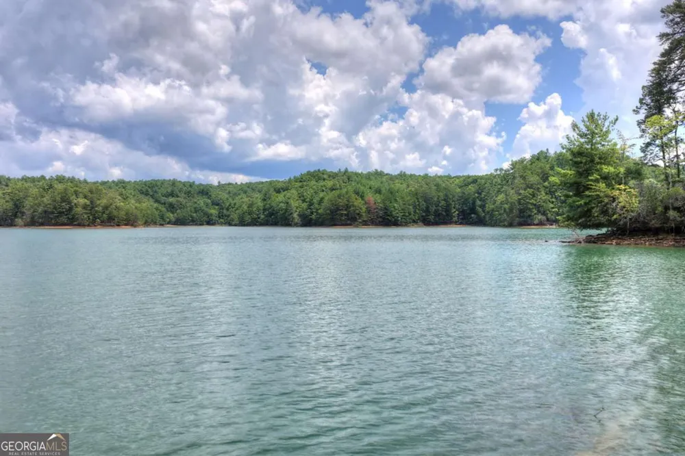 LT 60 Necowa Cove Overlook Blue Ridge, GA 30513