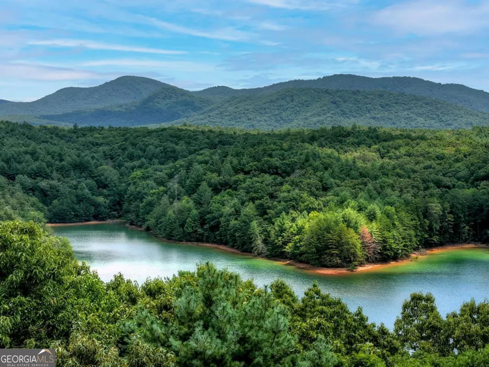 LT 60 Necowa Cove Overlook Blue Ridge, GA 30513