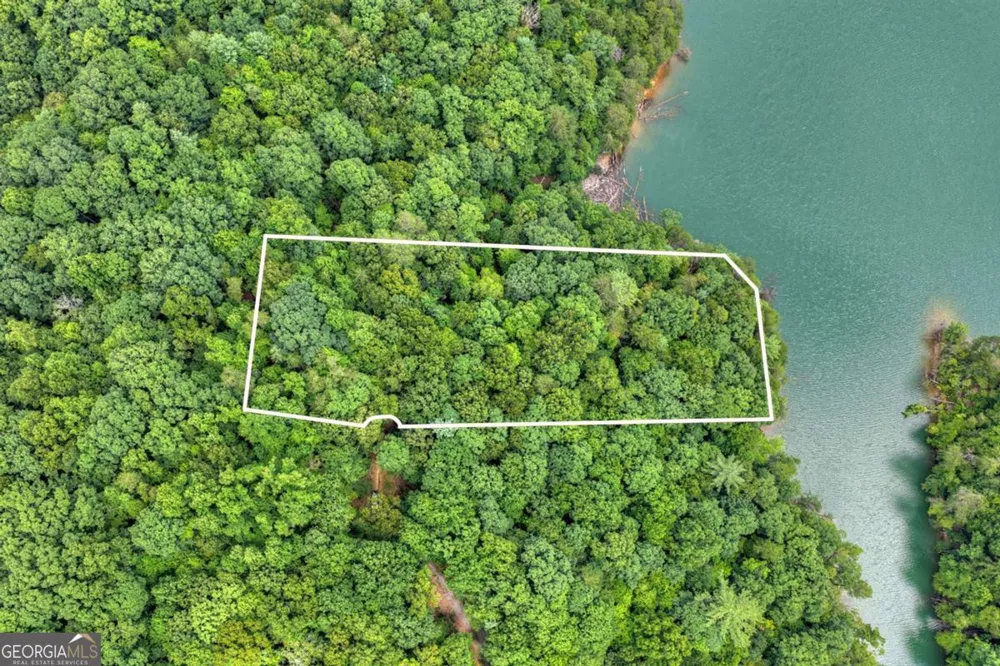 LT 60 Necowa Cove Overlook Blue Ridge, GA 30513