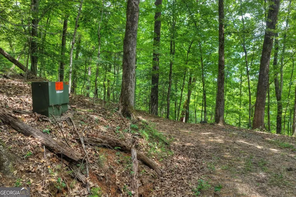 LT 60 Necowa Cove Overlook Blue Ridge, GA 30513