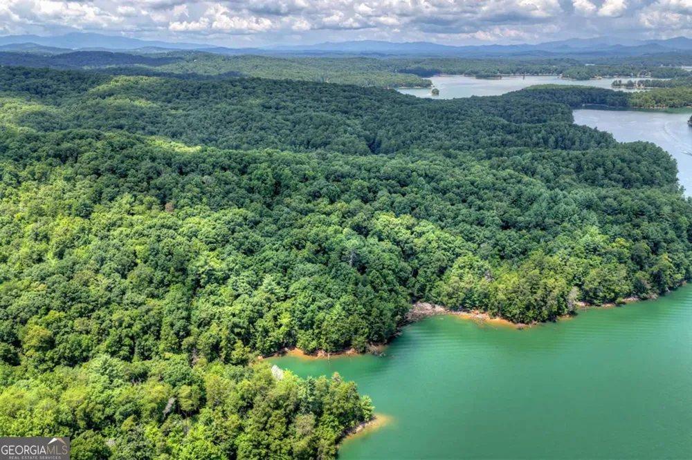 LT 60 Necowa Cove Overlook Blue Ridge, GA 30513