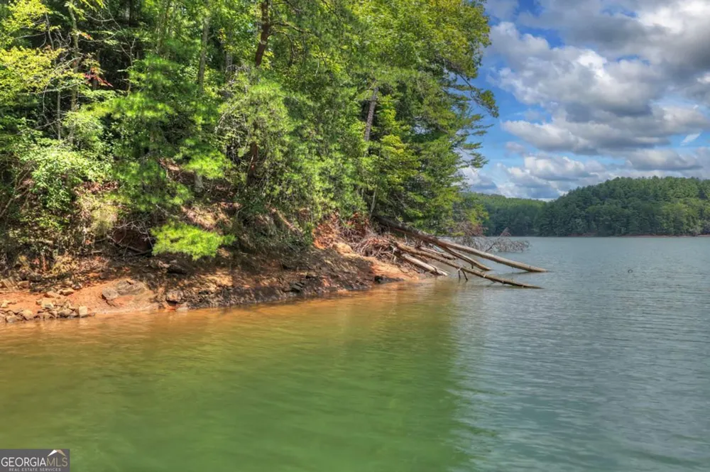 LT 60 Necowa Cove Overlook Blue Ridge, GA 30513